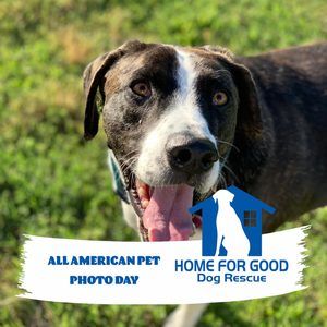 Meet your Posher, Eryn